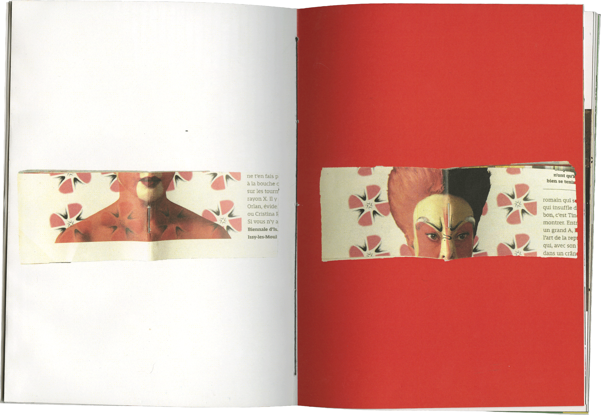 photo main animal farm 2