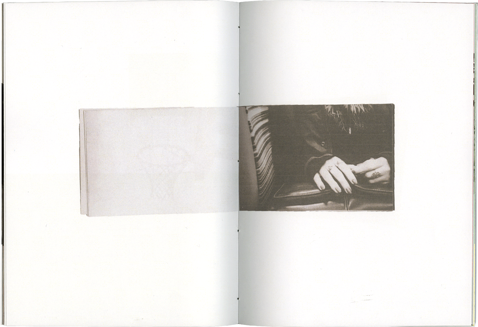 photo main animal farm 2